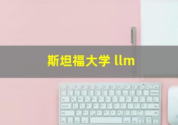 斯坦福大学 llm